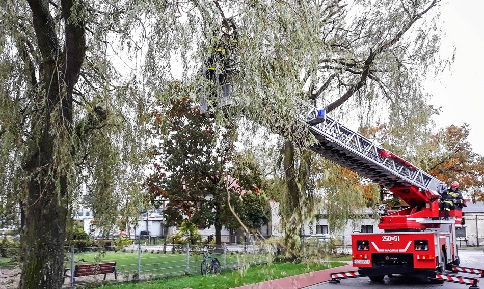 Usuwanie skutków huraganu Orkan Ksawery w dniach 5 i 6 października 2017 roku