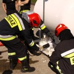 Galerie - 2018 r. - Szkolenie specjalistyczne dotyczące transportu towarów niebezpiecznych