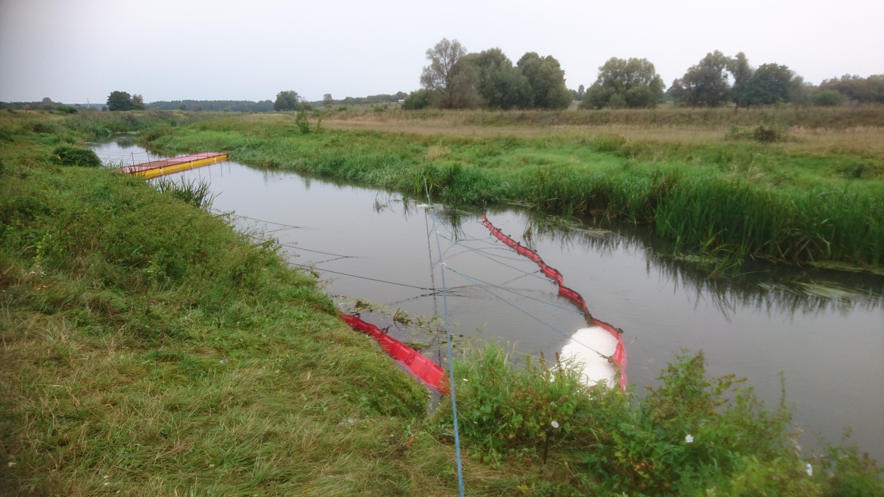 Zajęcia terenowe nad rzeką Wartą