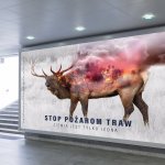 Galerie - 2019 r. - Stop pożarom traw