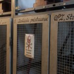 Galerie - 2020 r. - Ćwiczenia ratownictwa drogowego i szynowego w MPK w Częstochowie