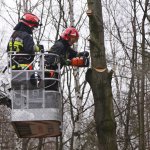 Ćwiczenia z taktyki działań ratowniczych na terenie Nadleśnictwa Herby