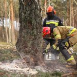 Ćwiczenia z taktyki działań ratowniczych na terenie Nadleśnictwa Herby