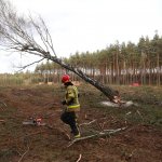 Ćwiczenia z taktyki działań ratowniczych na terenie Nadleśnictwa Herby