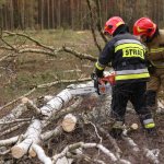 Ćwiczenia z taktyki działań ratowniczych na terenie Nadleśnictwa Herby