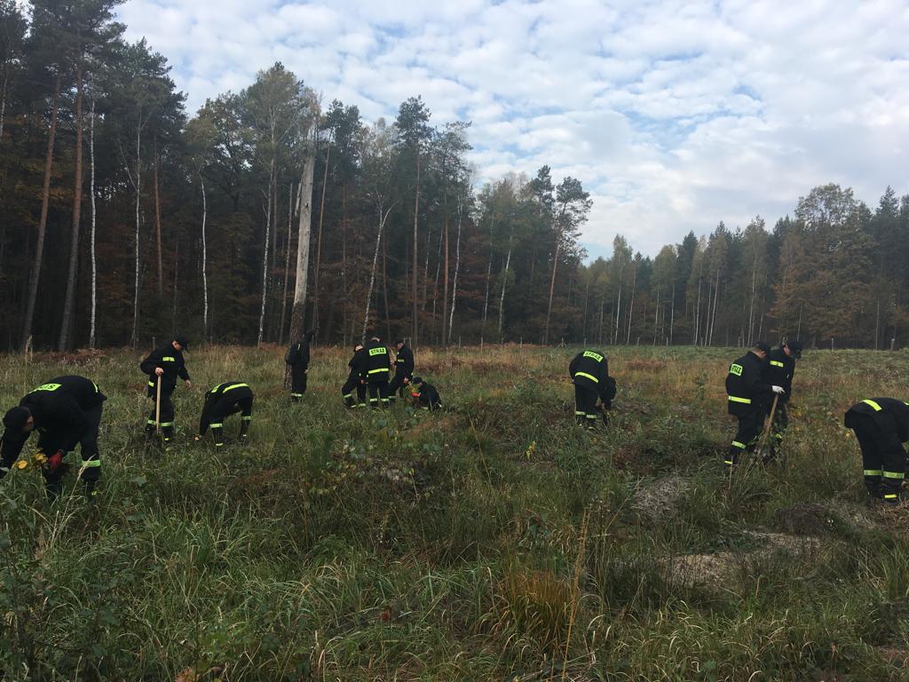 Z Parą Prezydencką odnawiamy las