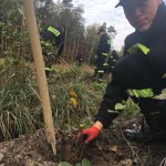 Galerie - 2022 r. - Z Parą Prezydencką odnawiamy las