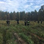 Galerie - 2022 r. - Z Parą Prezydencką odnawiamy las