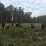 Galerie - 2022 r. - Z Parą Prezydencką odnawiamy las