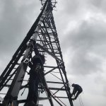 Warsztaty instruktorskie PSP przygotowujące do realizacji szkoleń z zakresu ewakuacji z drzew oraz konstrukcji budowlanych