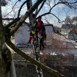 Szkolenie specjalistyczne ratowników wysokościowych KSRG