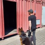 Zajęcia szkoleniowe z udziałem psów tresowanych na terenie szkolnego poligonu CS PSP