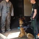 Zajęcia szkoleniowe z udziałem psów tresowanych na terenie szkolnego poligonu CS PSP