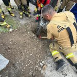 Strażacy CS PSP uratowali psa uwięzionego w przepuście drogowym